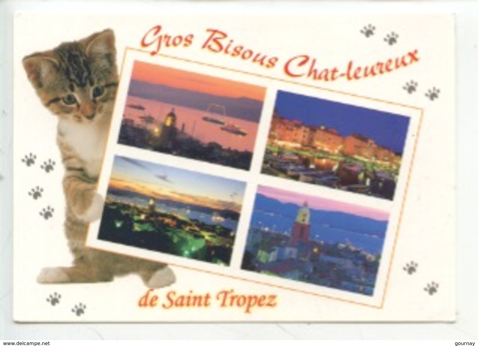 Saint Tropez Gros Bisous Chat Leureux De Saint Tropez Chat Chaton Heureux Humour Empreintes Pattes